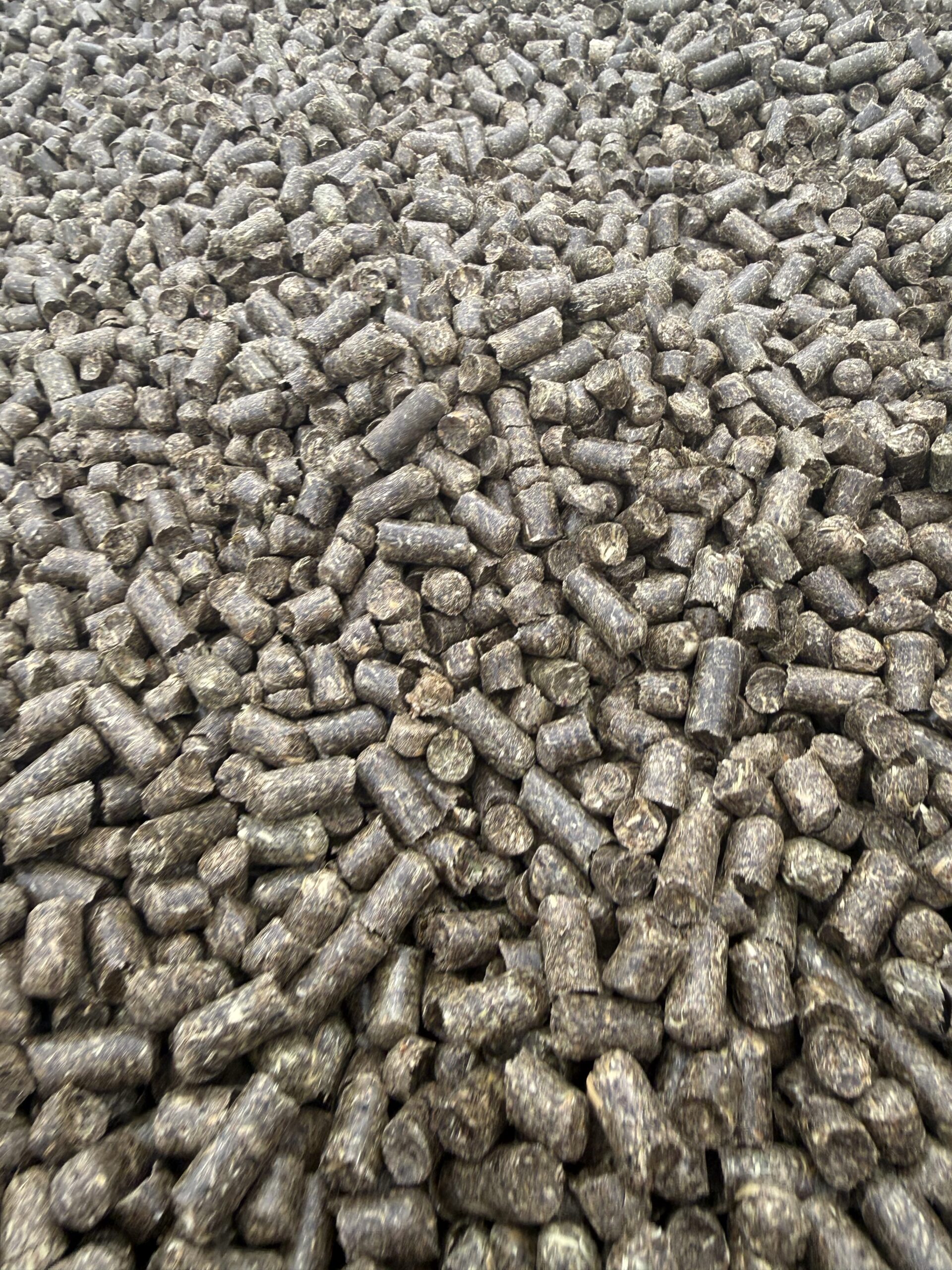 Széna pellet – prémium minőségű, pormentes takarmány Big-Bag - Image 4