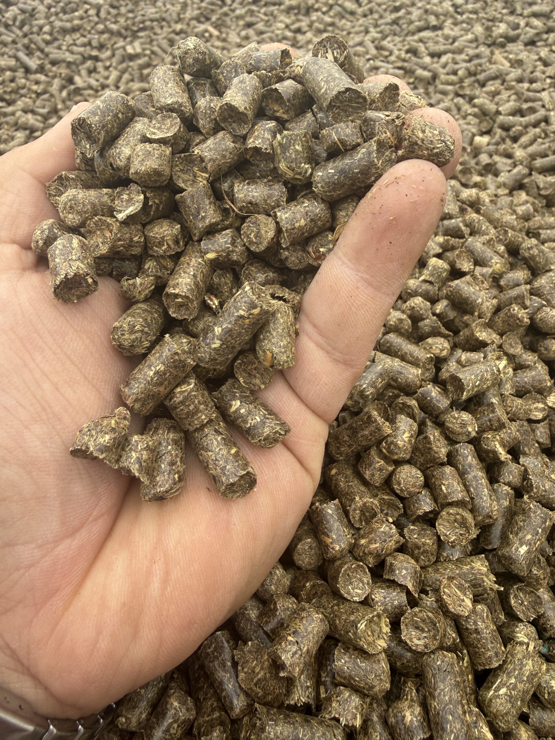 Széna pellet – prémium minőségű, pormentes takarmány Big-Bag - Image 3