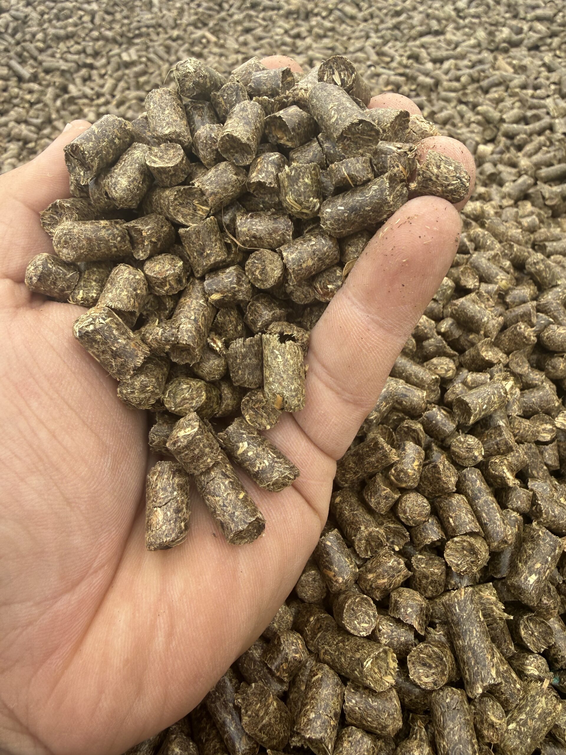 Széna pellet – prémium minőségű, pormentes takarmány Big-Bag - Image 2